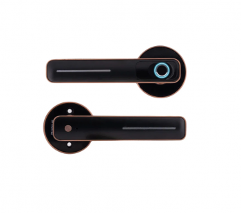 Дверной электронный замок HOGO Smart Lock R01, Черный